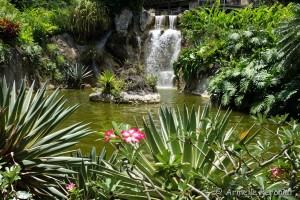 Guadeloupe Août 2015-02732   